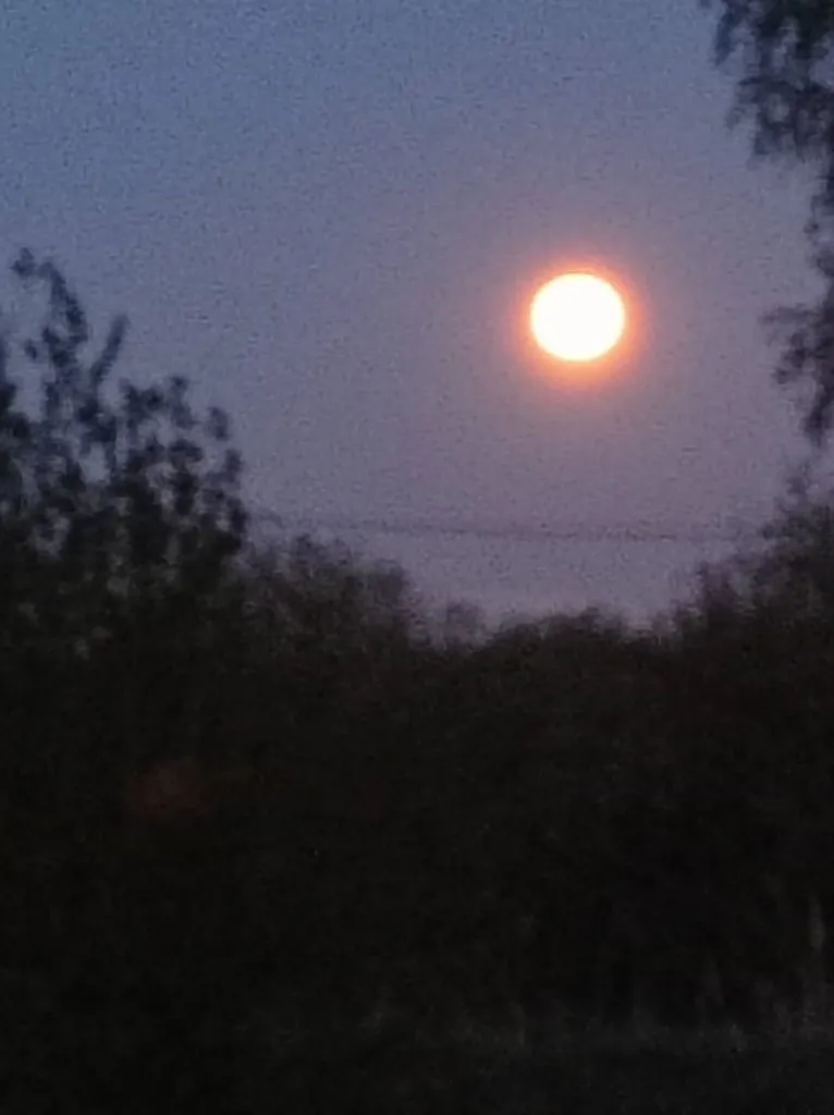 Такое разное небо