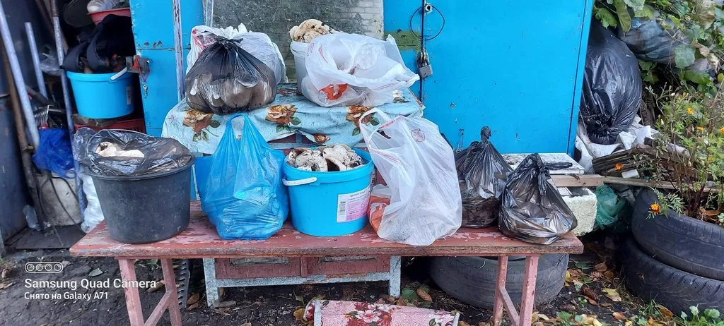 Чайная беседка