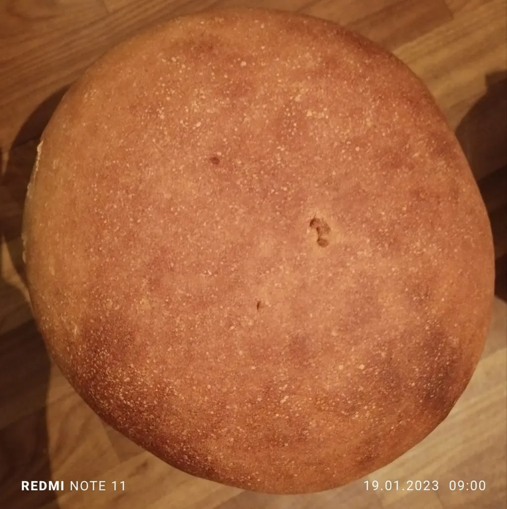 Tapтaлeтки & Ко