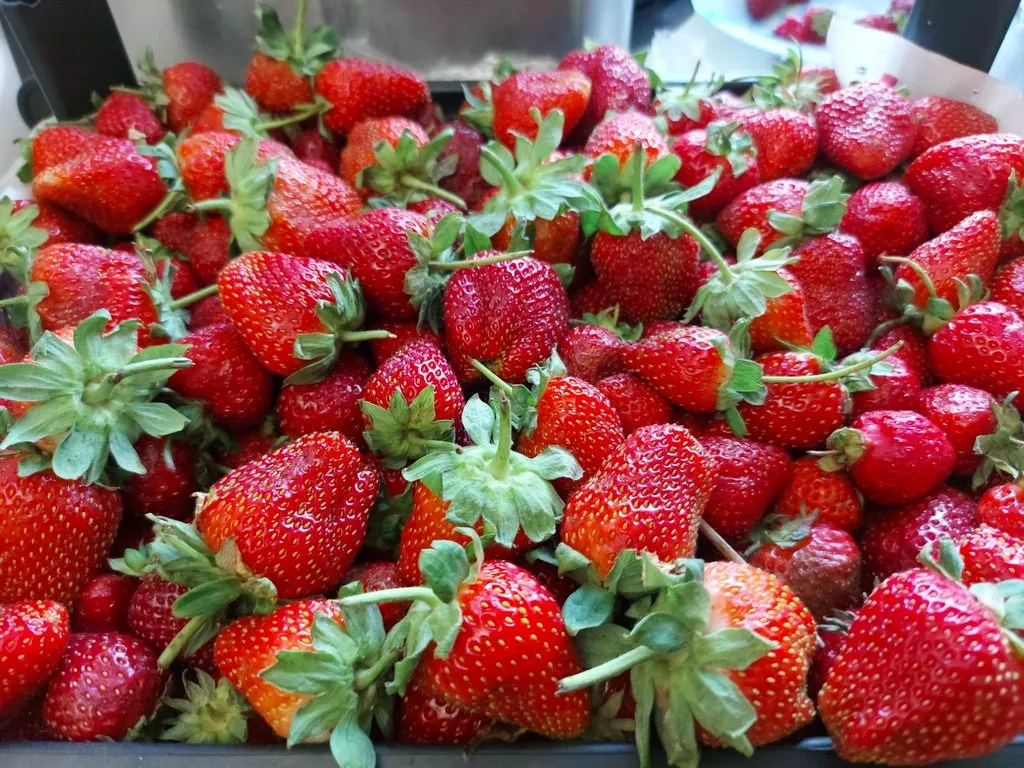 Фуд Сити в Москве