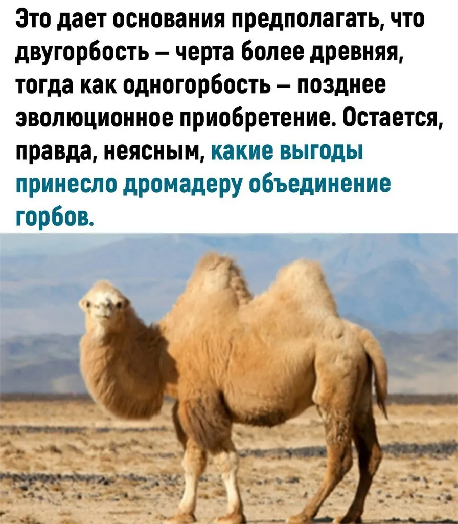 Это интересно!