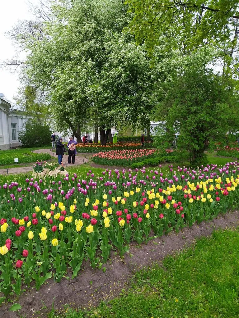 Куда сходить в Санкт-Петербурге