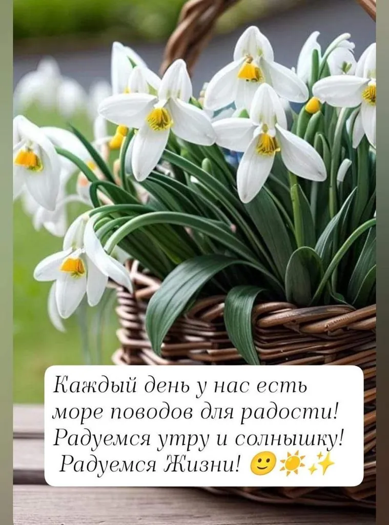 Tapтaлeтки & Ко