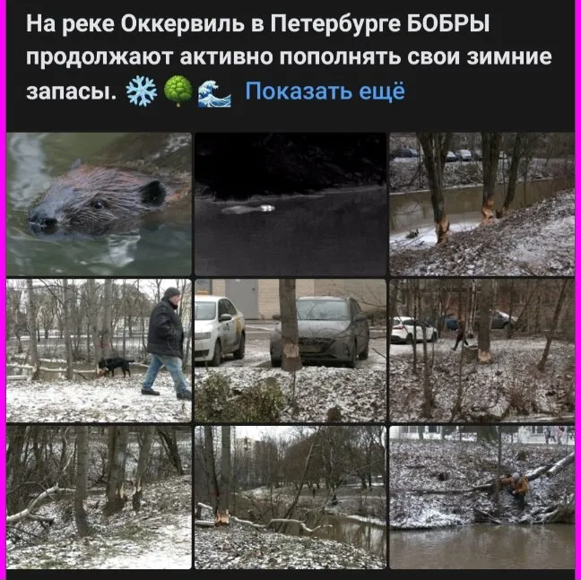 Кафе «У пани Сони»