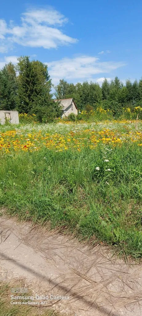 Чайная беседка