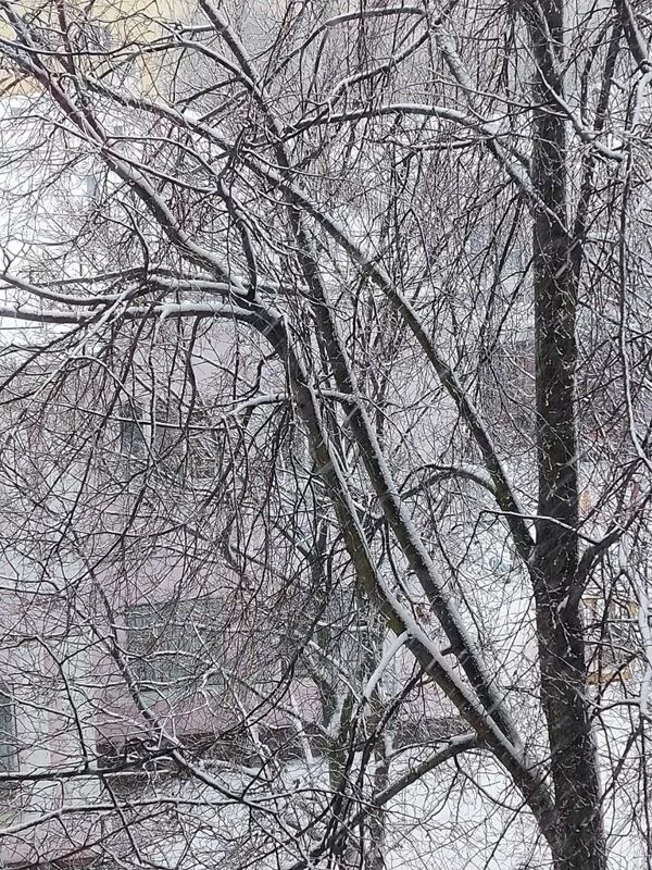Кафе "У пани Сони"