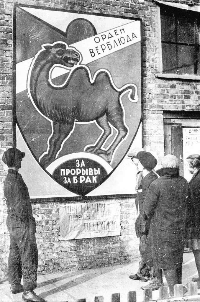 Запечатленная история