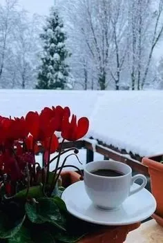 Tapтaлeтки & Ко