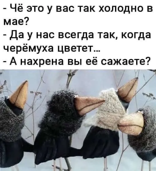 Tapтaлeтки & Ко