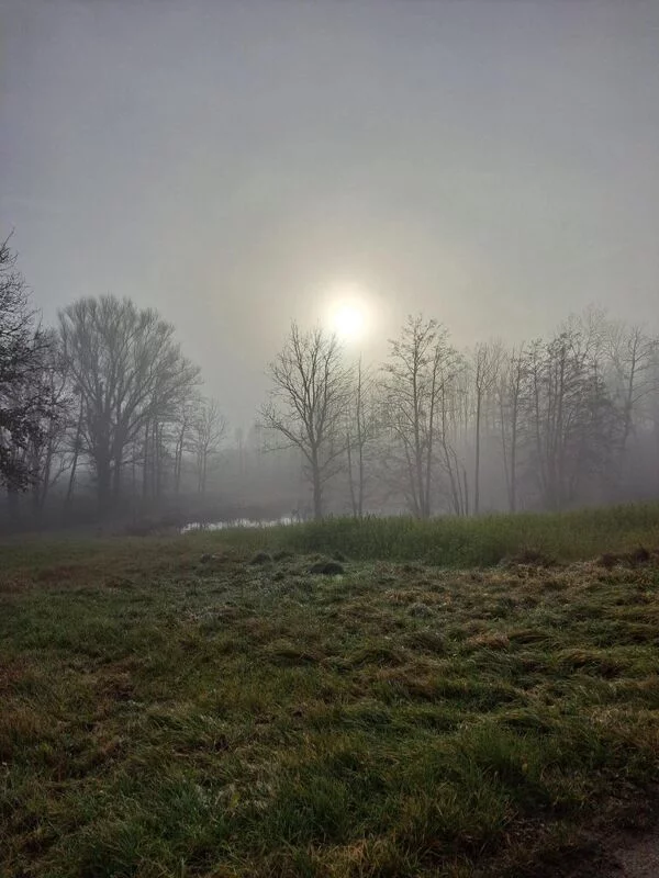 Чайная беседка