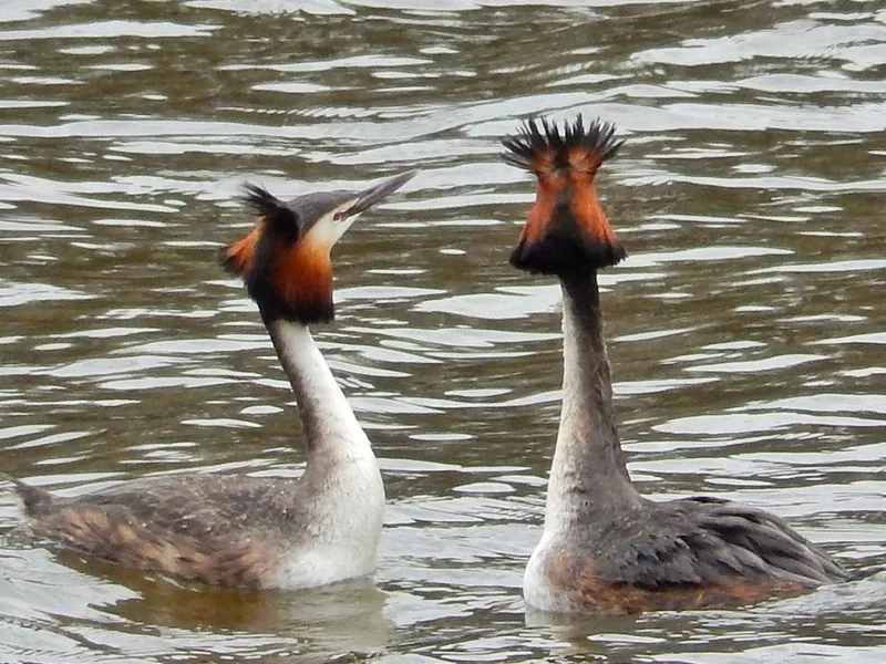 Коломенское