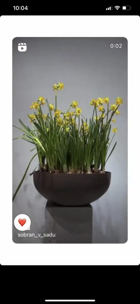 Пора выращивать рассаду