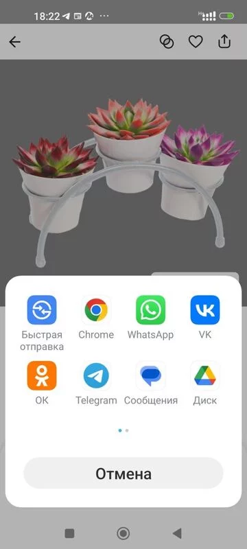 Чайная беседка