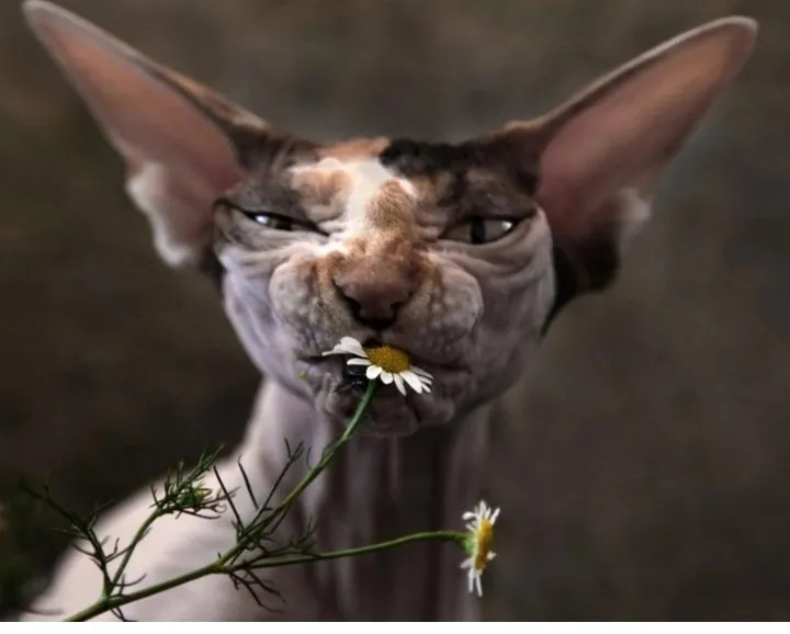 Посмеялся сам - поделись с другом!!!