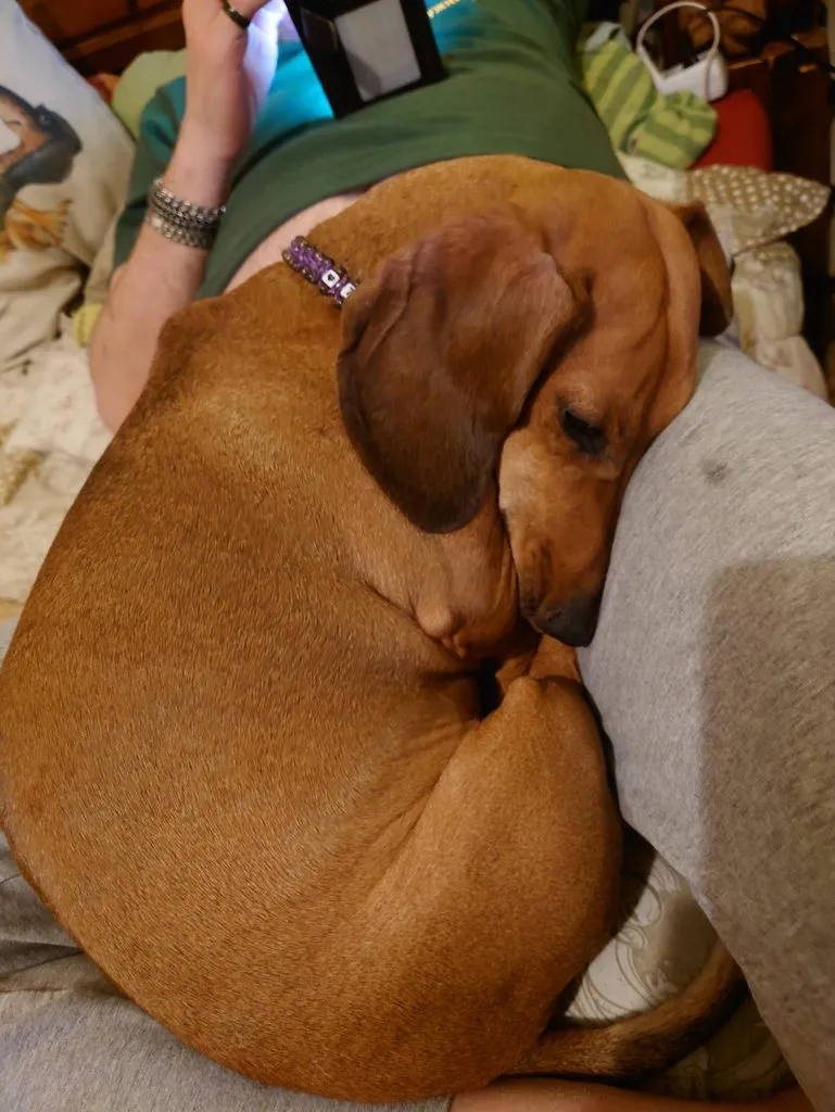 Живой Журнал Жульена