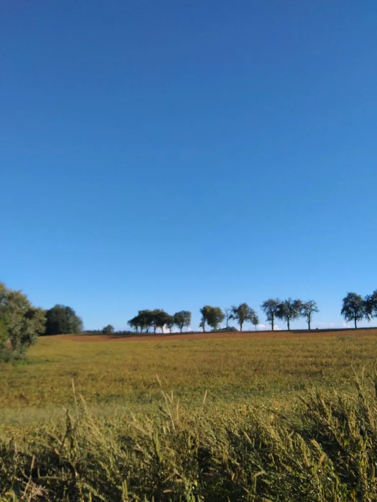 Чайная беседка