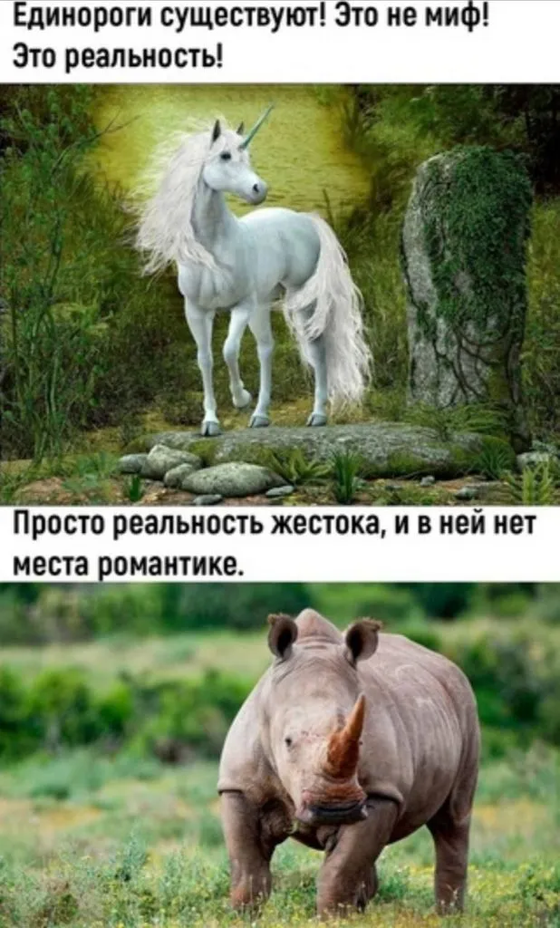 Посмеялся сам - поделись с другом!!!