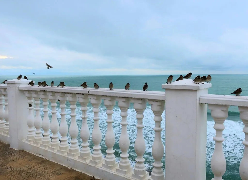 Чайная беседка