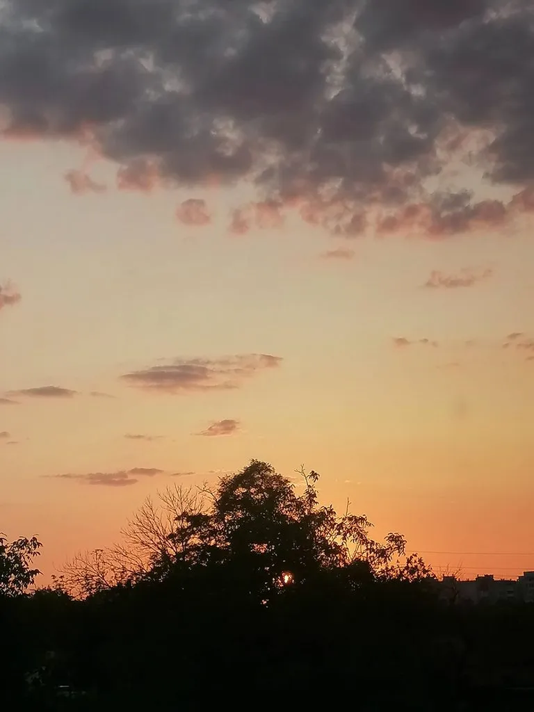 Такое разное небо