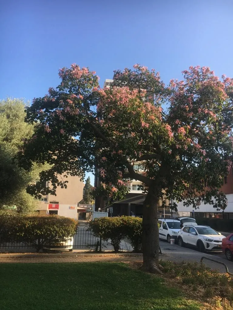 Чайная беседка