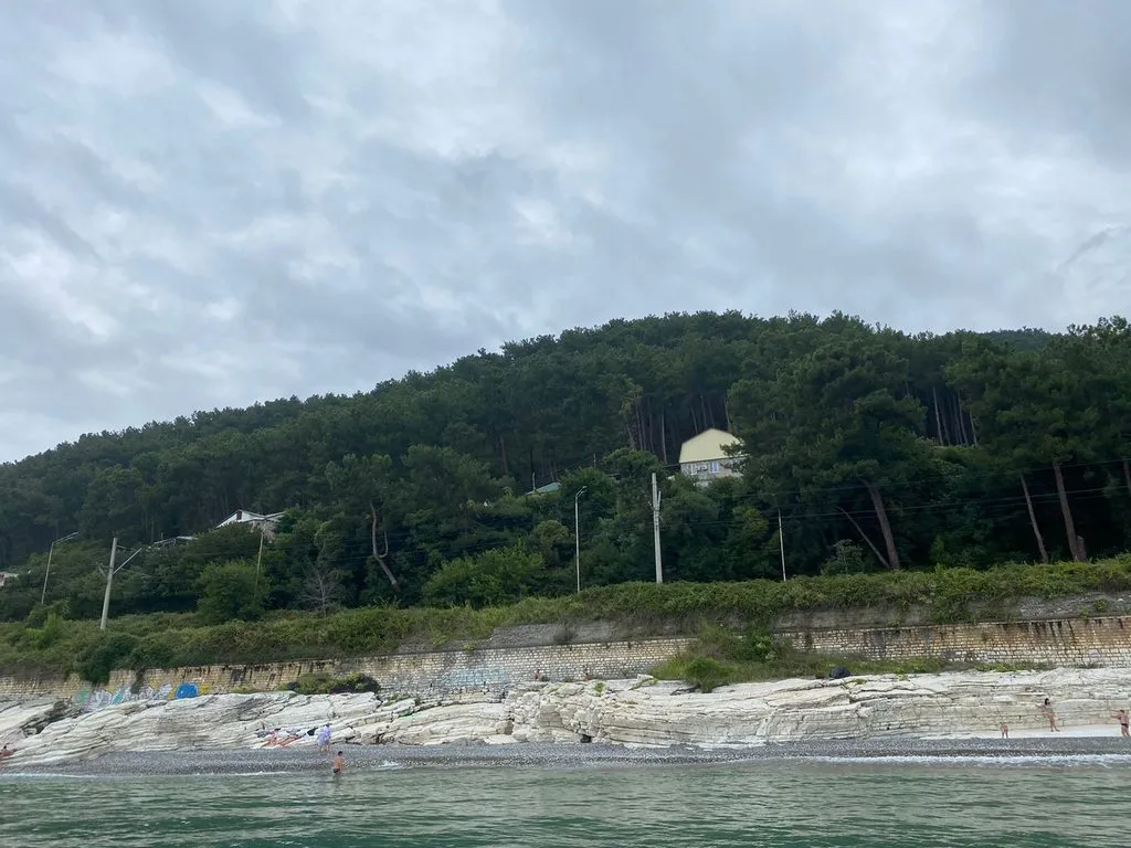 Tapтaлeтки & Ко