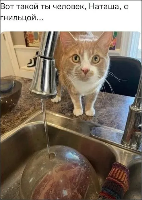 Посмеялся сам - поделись с другом!!!