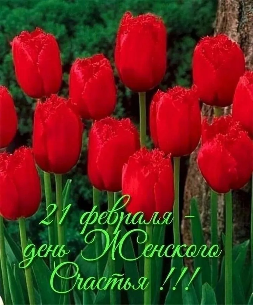 Кафе "У пани Сони"