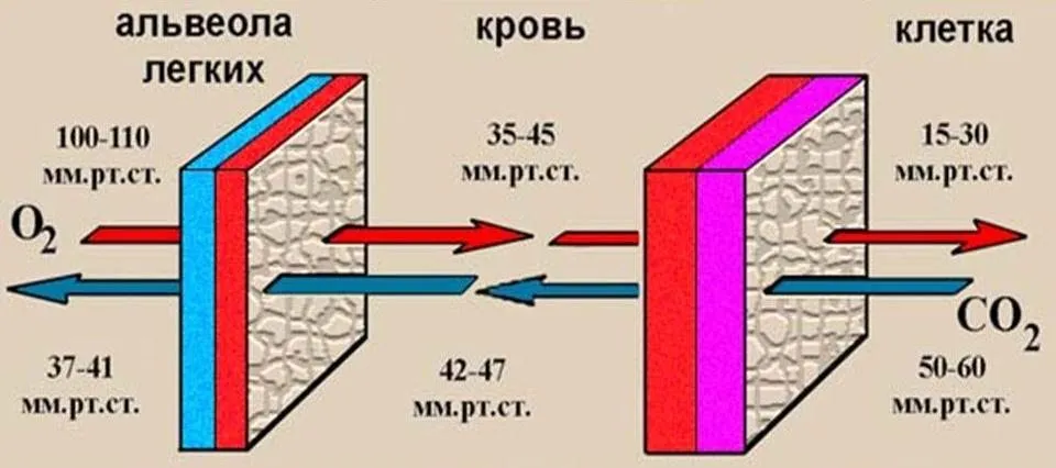 Занимательное от Глеба Клинова