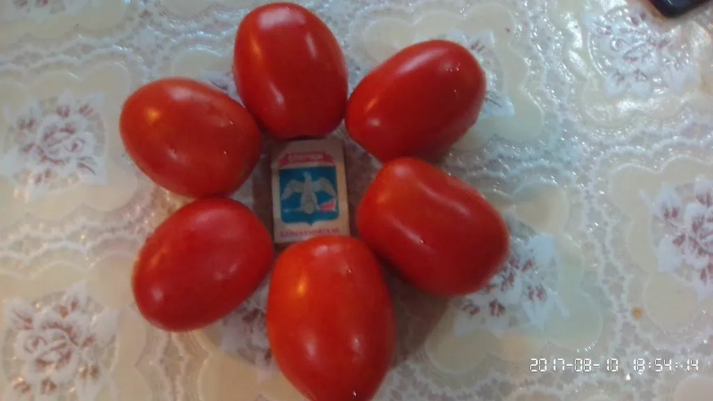 Пора выращивать рассаду