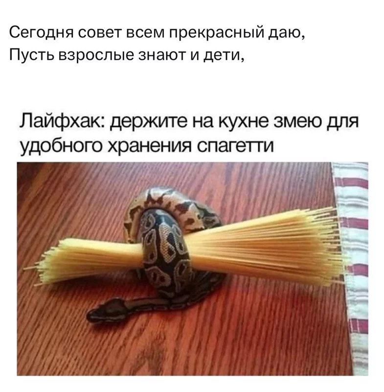 Всюду рифмы