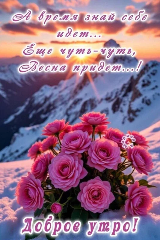Кафе "У пани Сони"