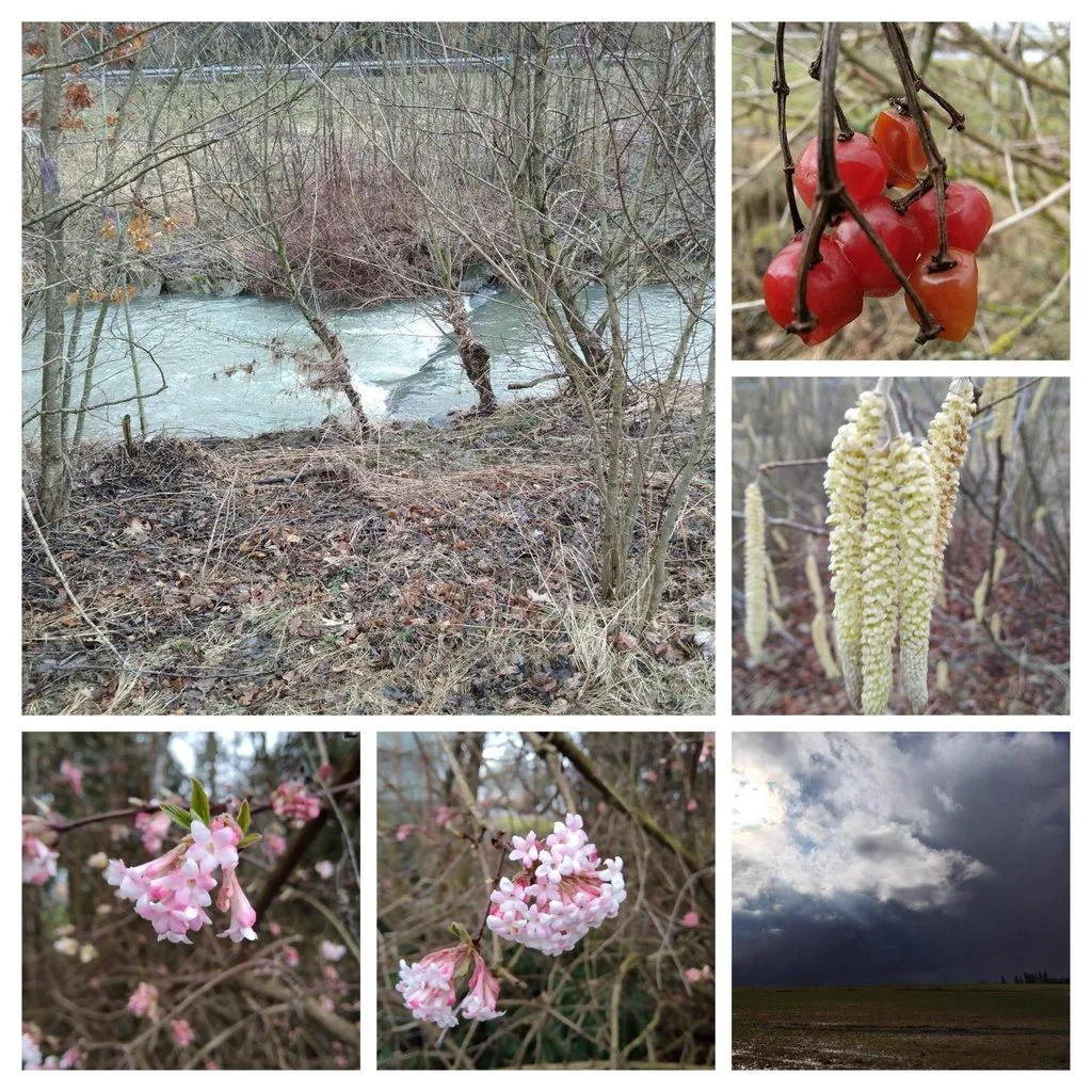 Чайная беседка