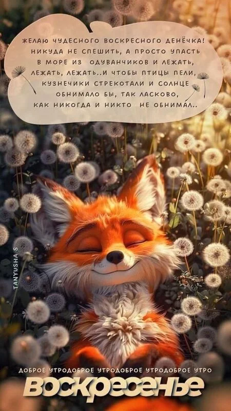 Кафе "У пани Сони"