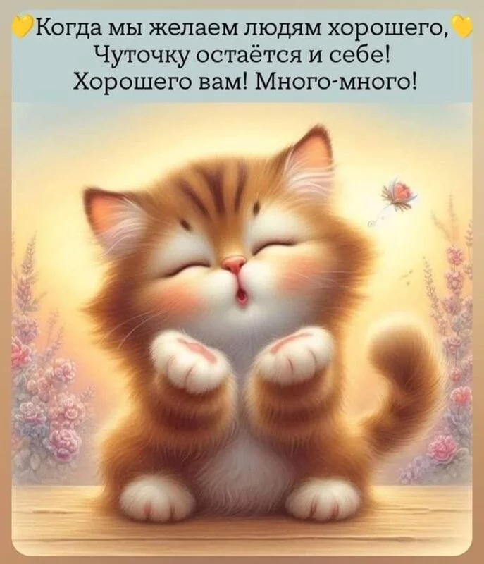 Позитивчик (фото, видео, рассказы для хорошего настроения)