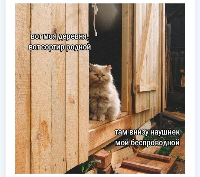 Посмеялся сам - поделись с другом!!!