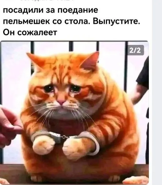Посмеялся сам - поделись с другом!!!