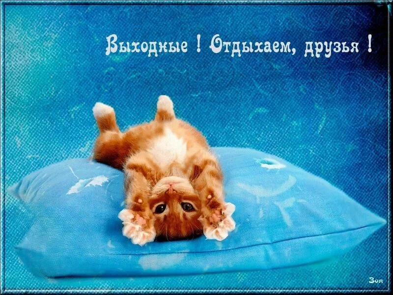 Позитивчик (фото, видео, рассказы для хорошего настроения)