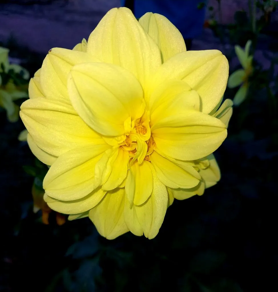 Чайная беседка