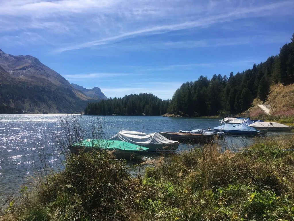 Чайная беседка