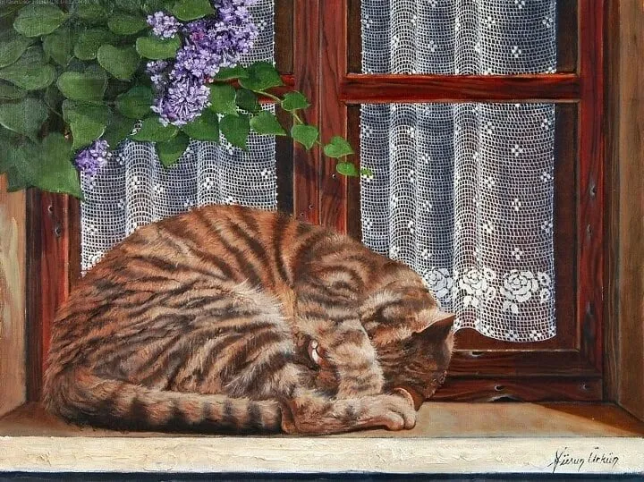 Кафе «У пани Сони»