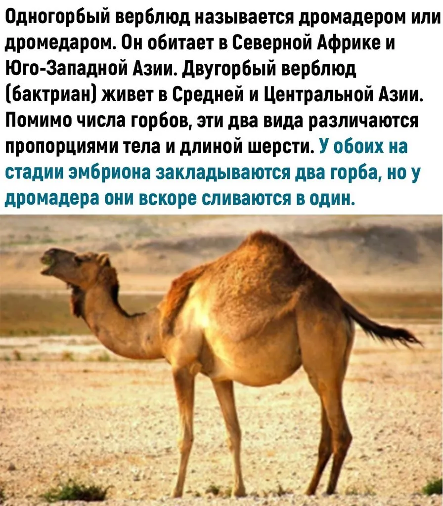 Это интересно!