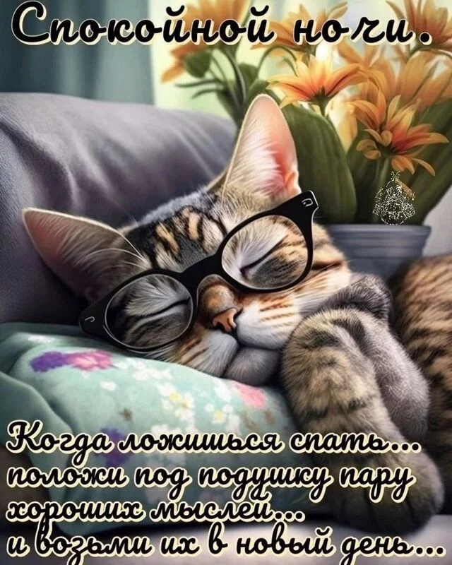 Кафе "У пани Сони"