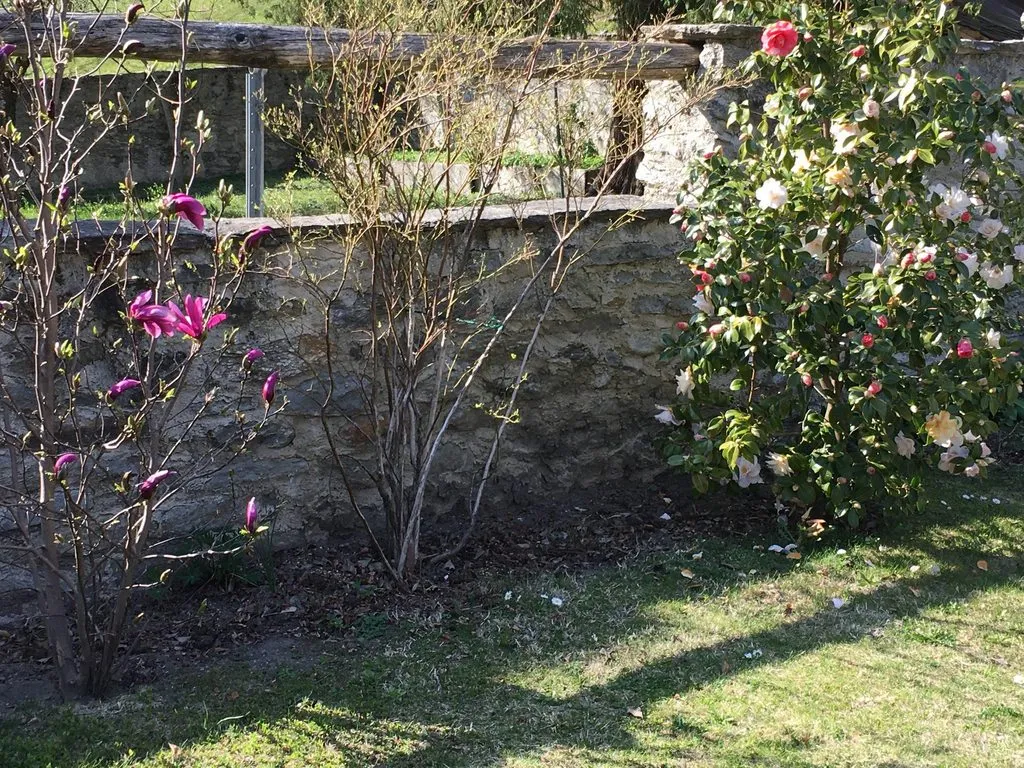 Чайная беседка