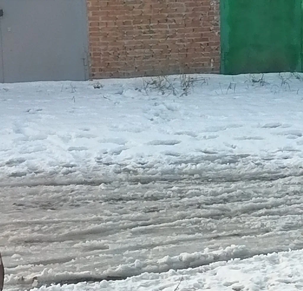 Чайная беседка