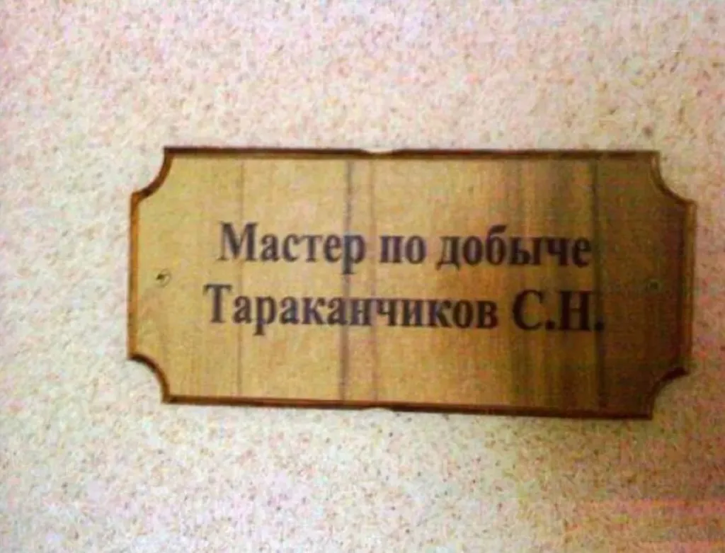 Всюду рифмы