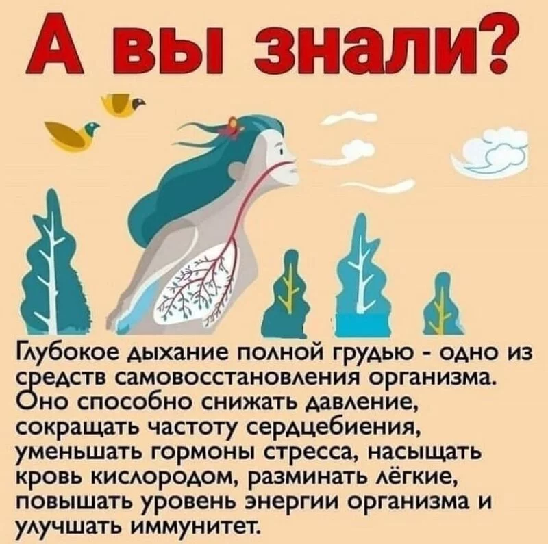 Медицинская инфографика