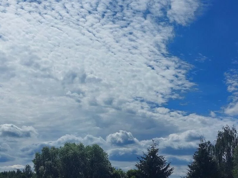 Такое разное небо