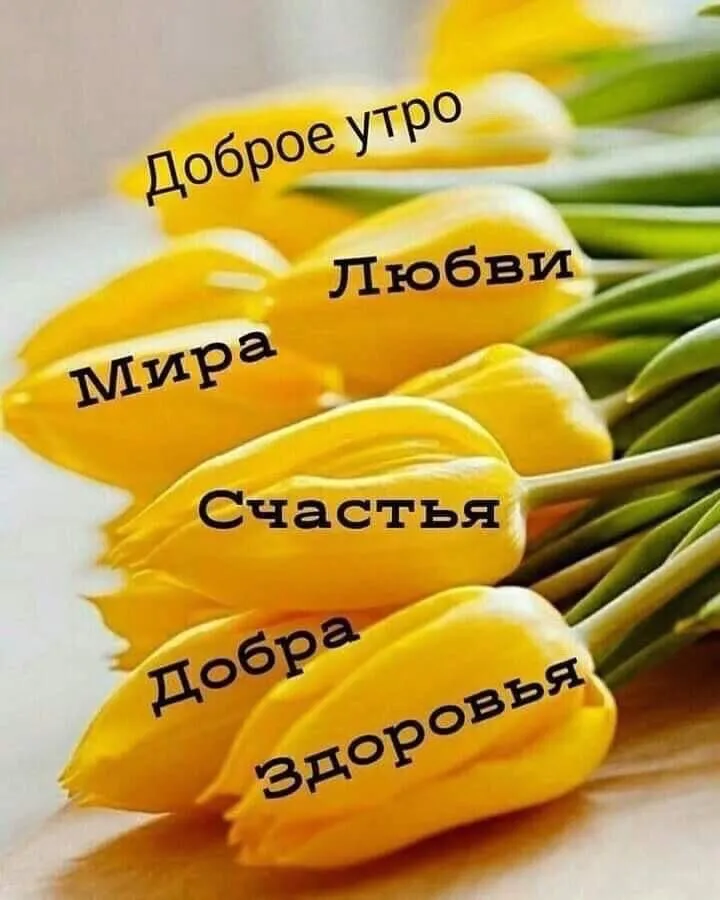 Tapтaлeтки & Ко