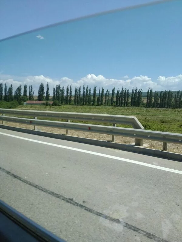 Чайная беседка