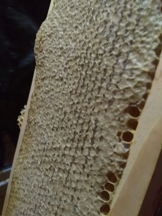 Чайная беседка